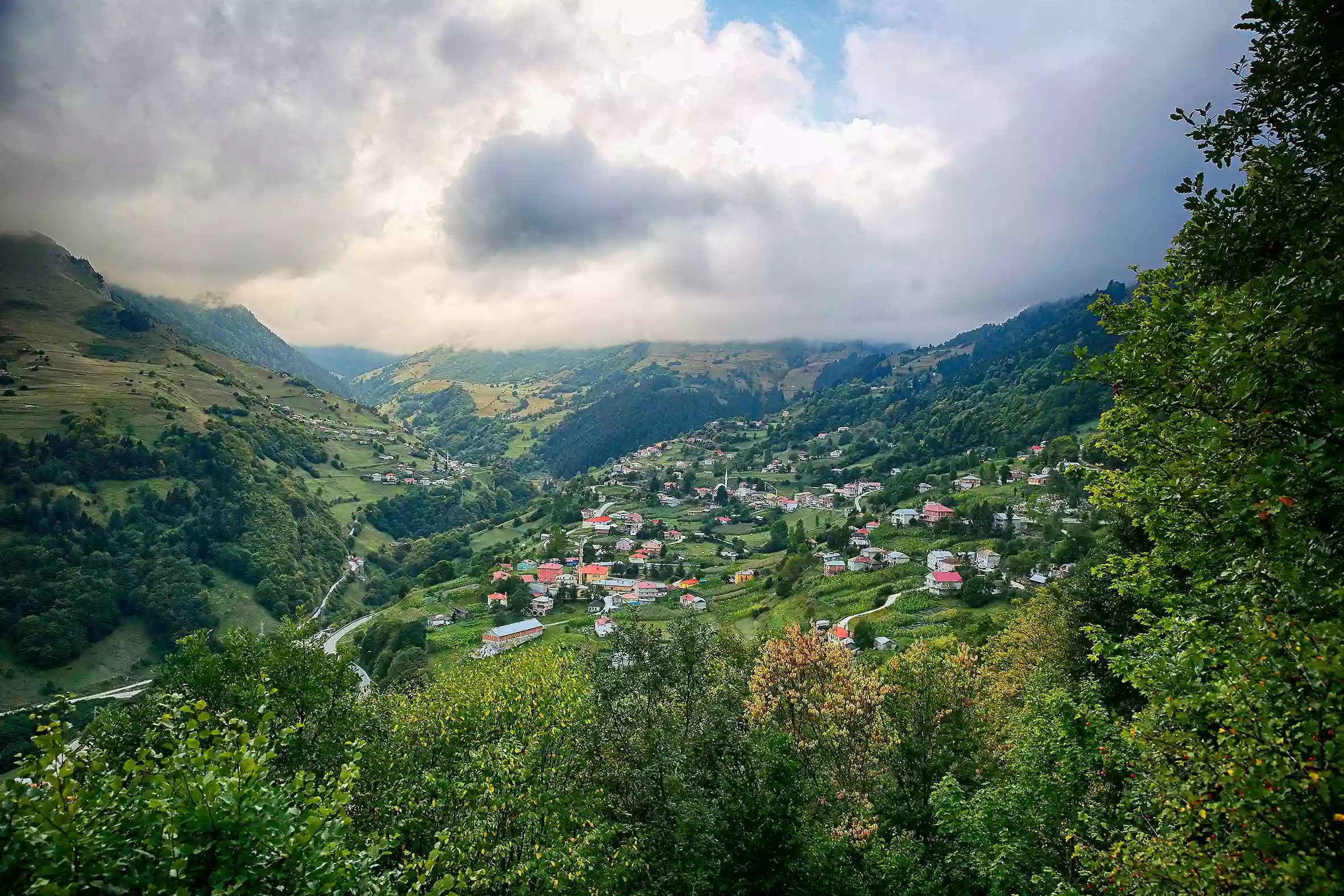 Hamsiköy