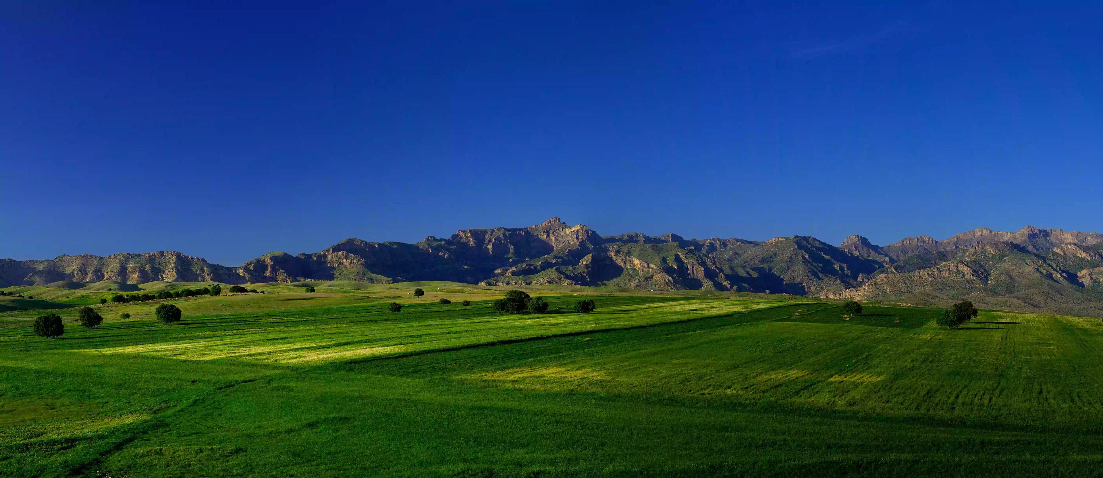 Cudi Dağı