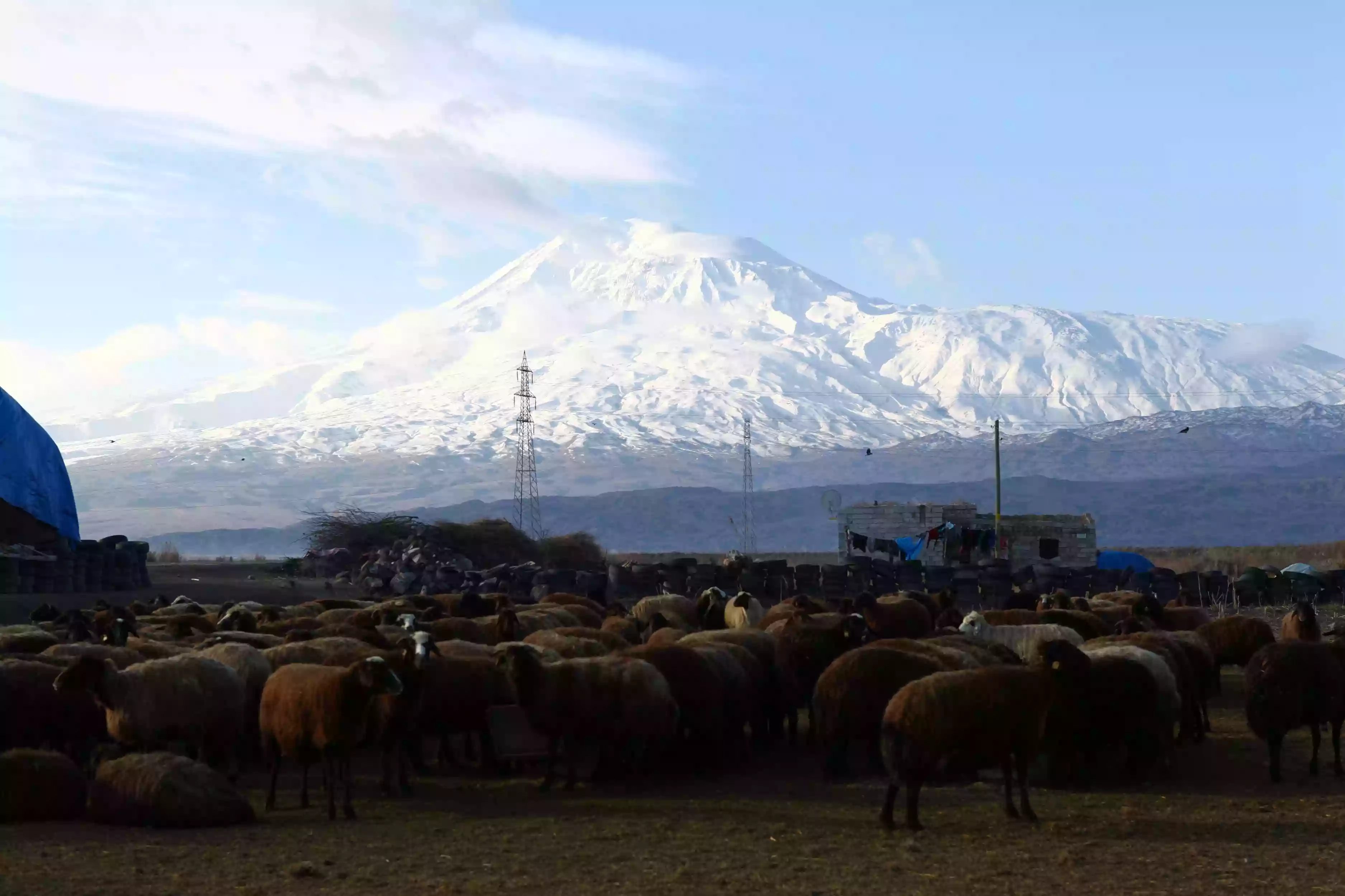 Iğdırdan Ağrı Dağı