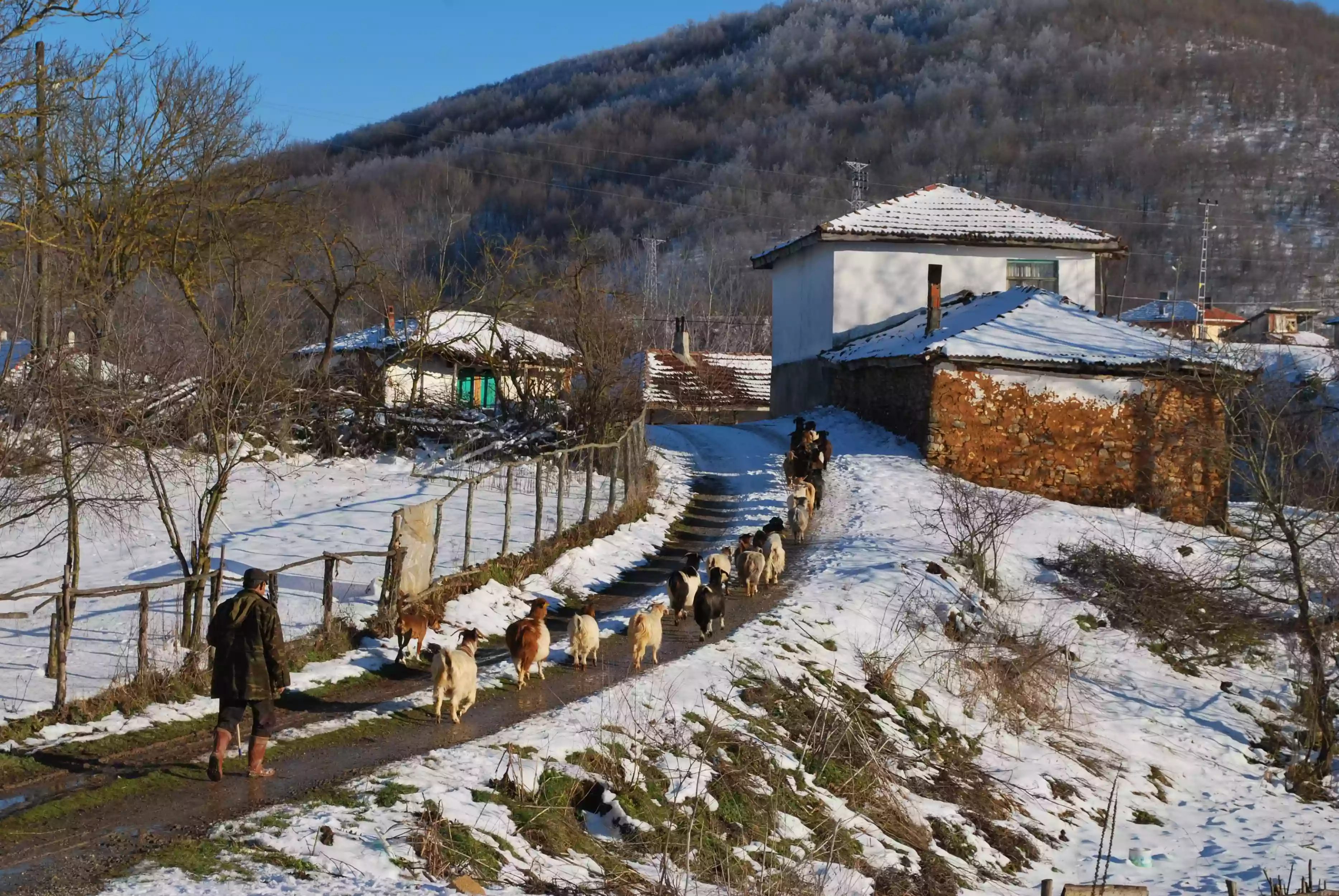 Geçitağzı Köyü