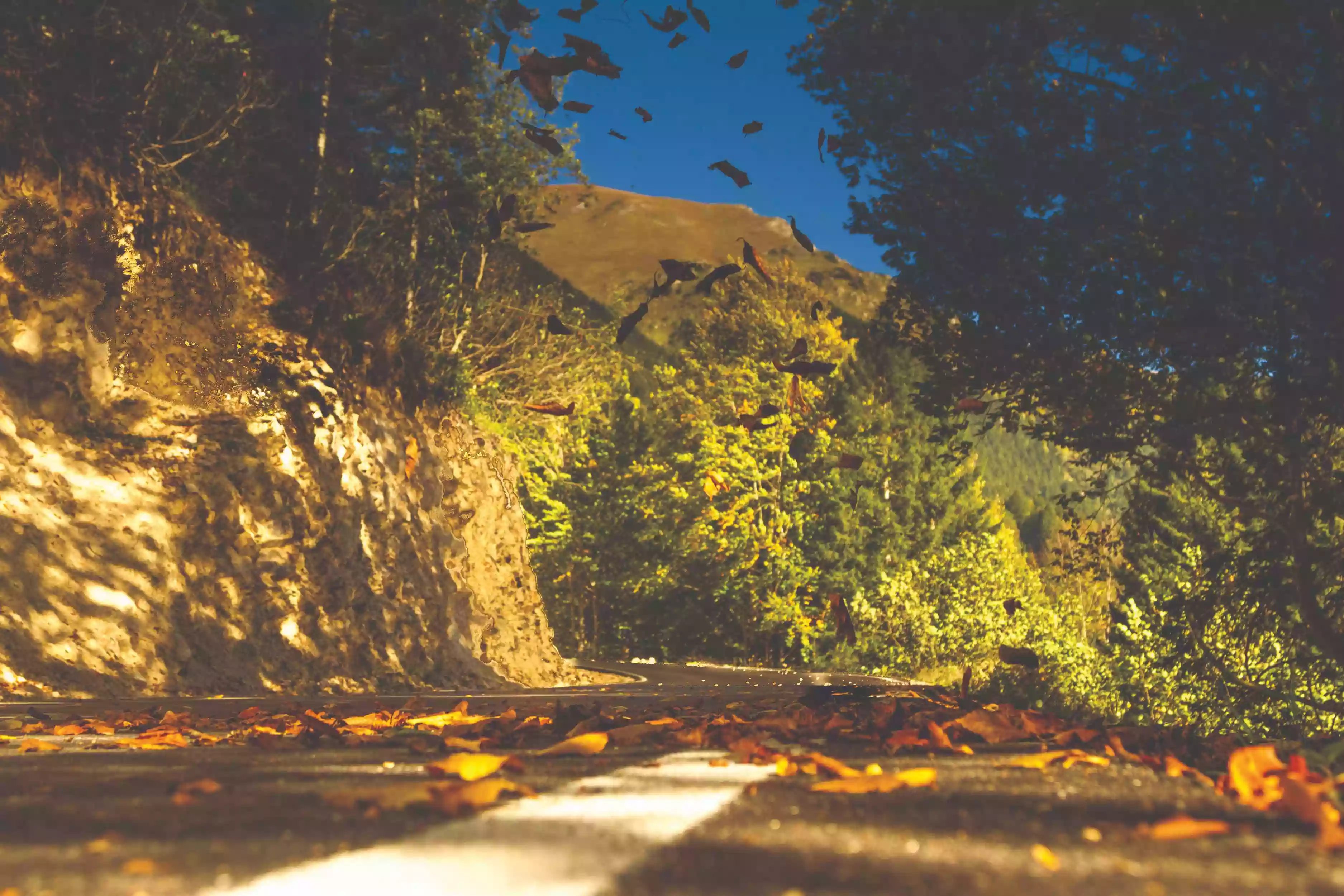 Uzungöl Yolu