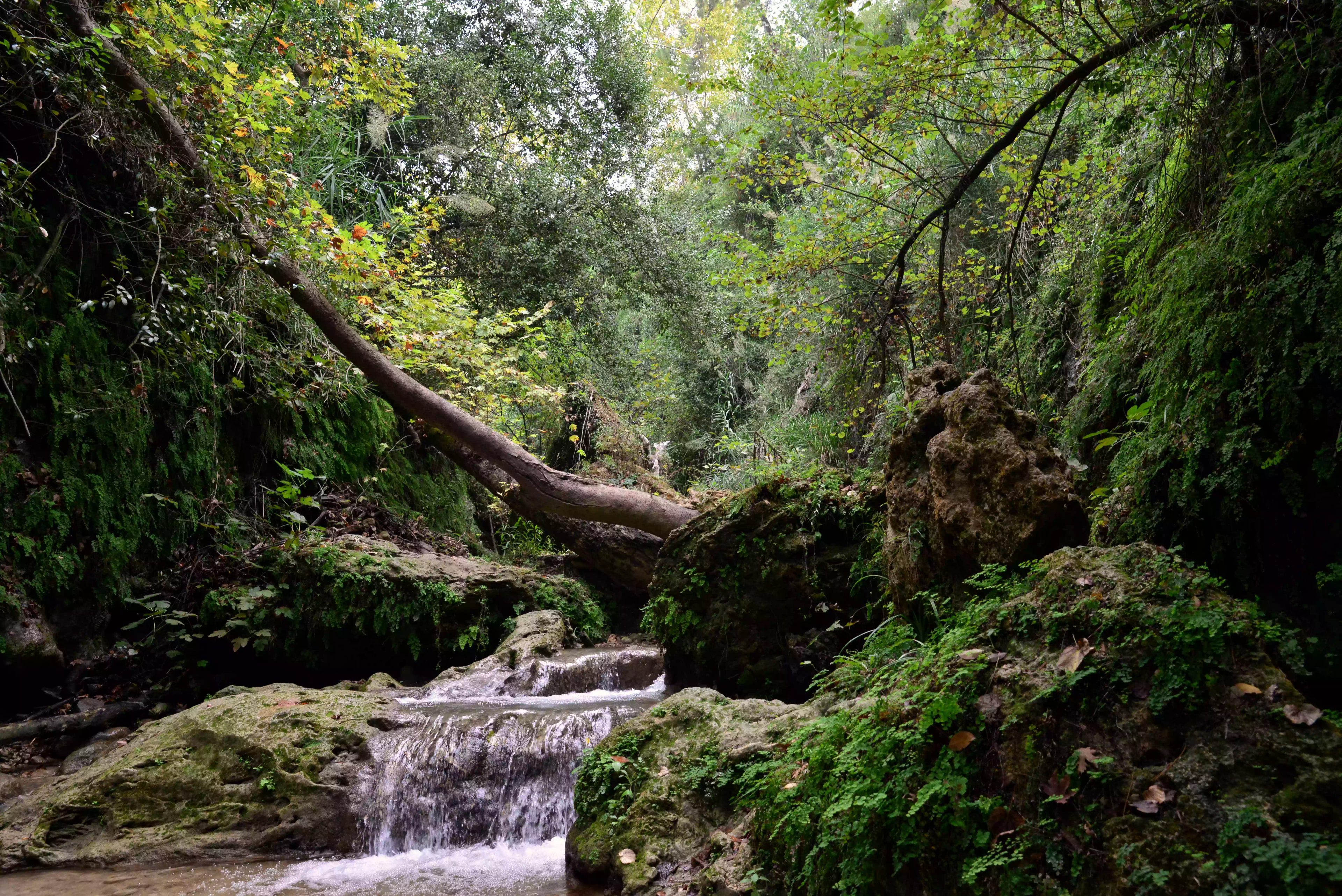 Saklıkent Kanyonu