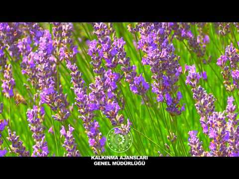 Isparta nın Keçiborlu İlçesi