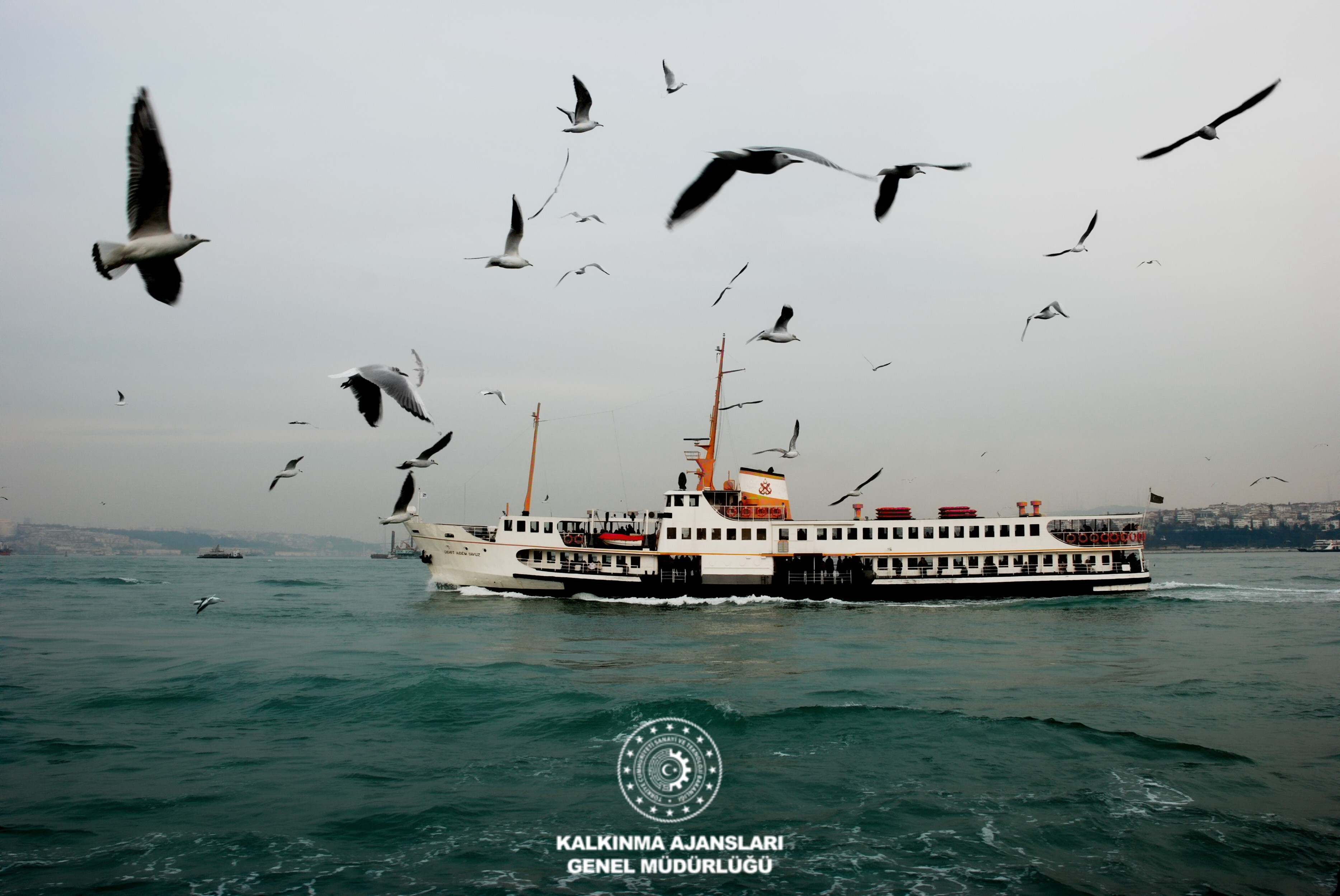 Vapur ve Martılar