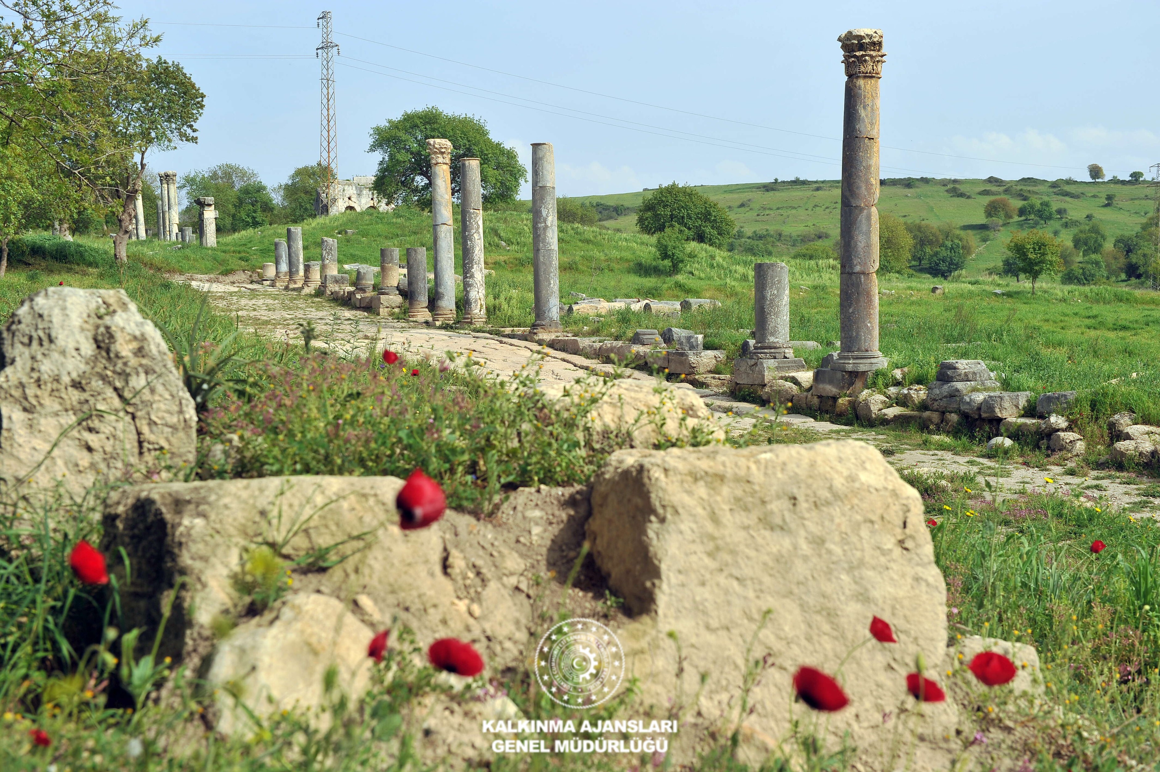 Sütunlu Yol