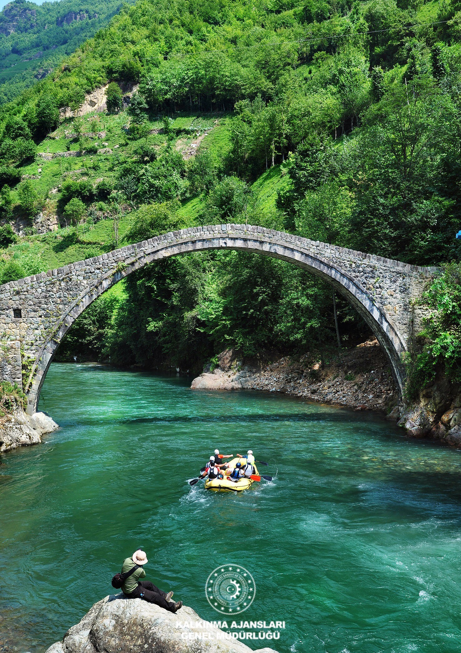 Timisvat Köprüsü