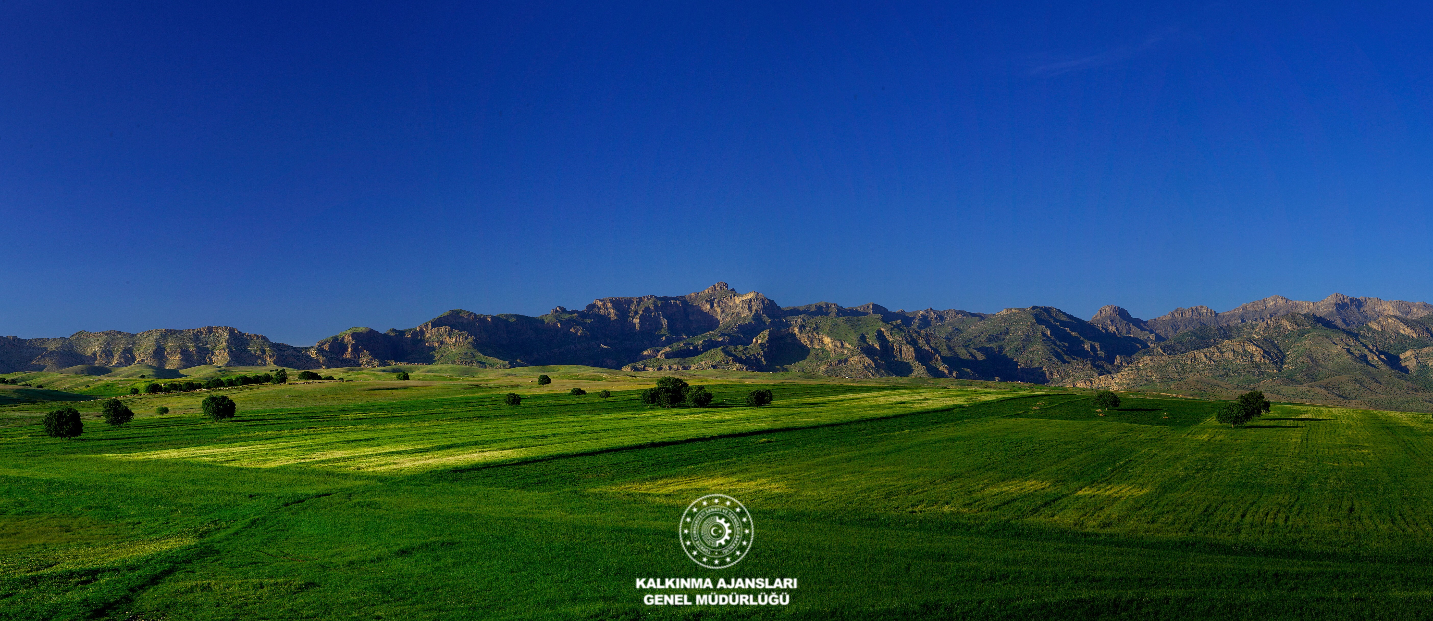 Cudi Dağı