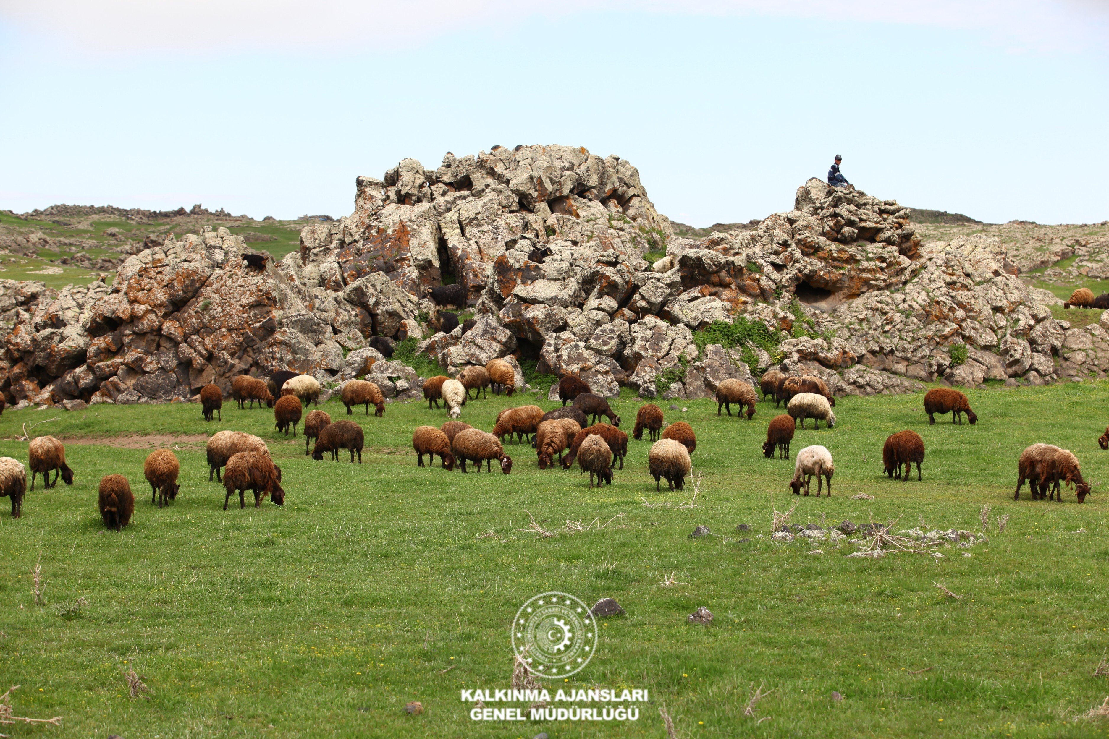 Korhan Yaylası
