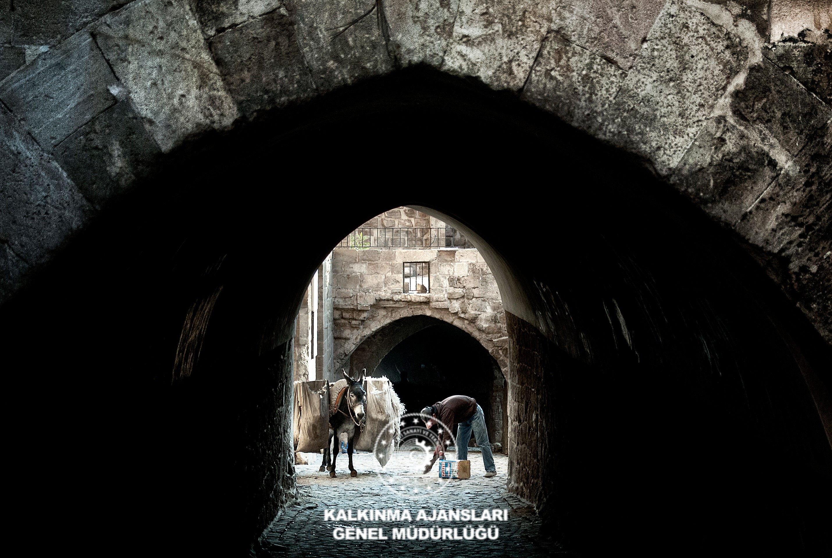 Abbarada Kadrolu Çöpçü Eşek