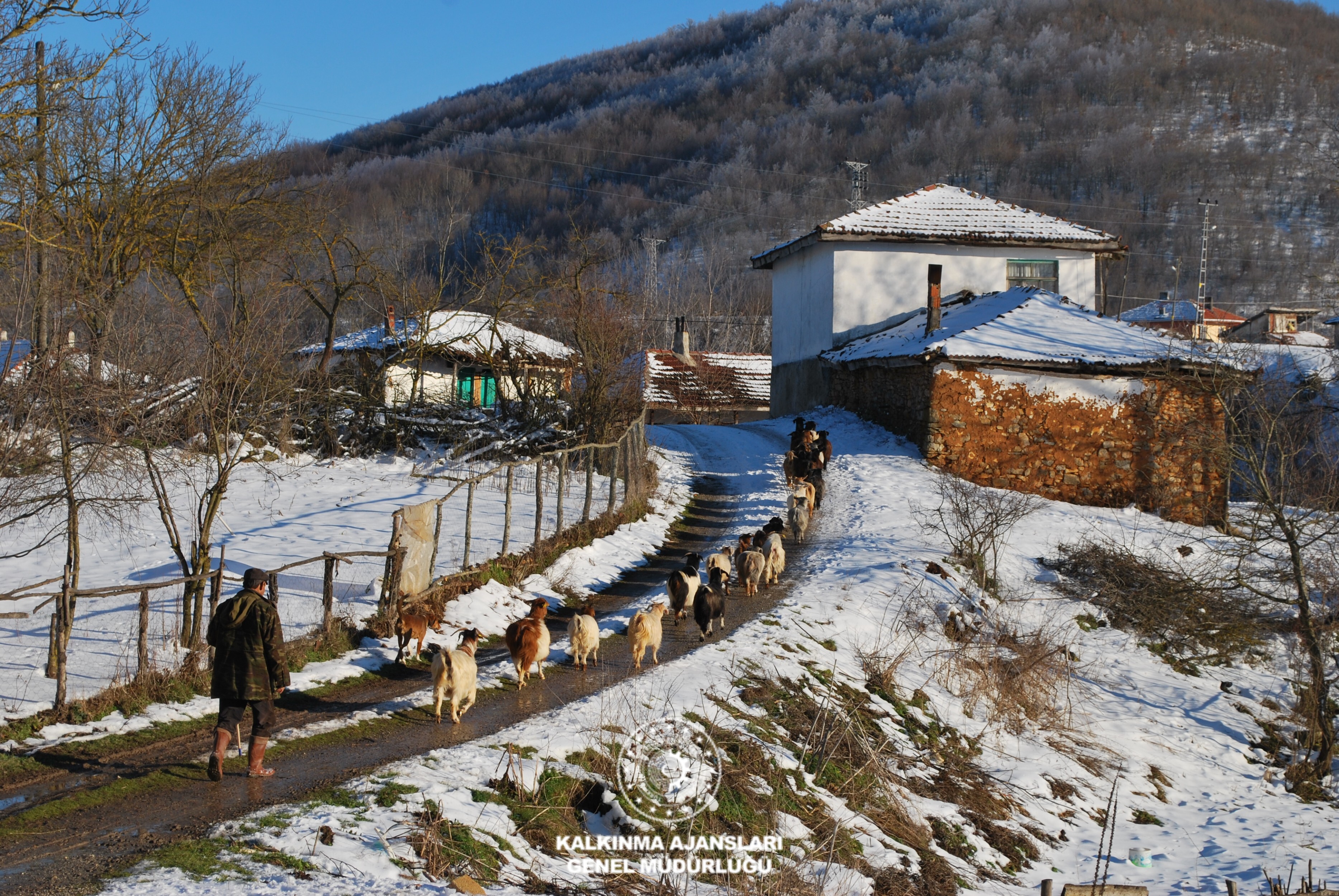 Geçitağzı Köyü
