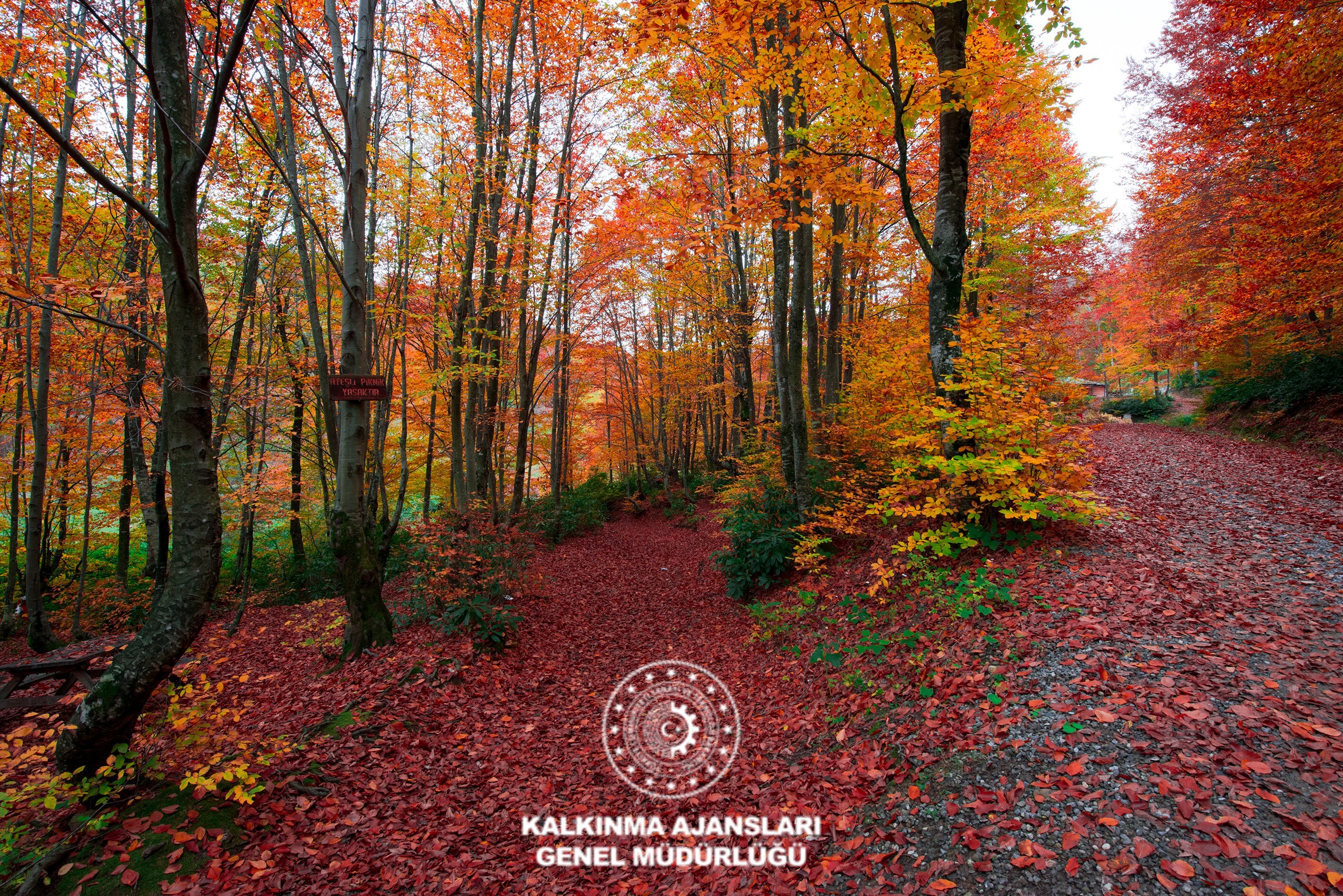 Zonguldak Kent Ormanı