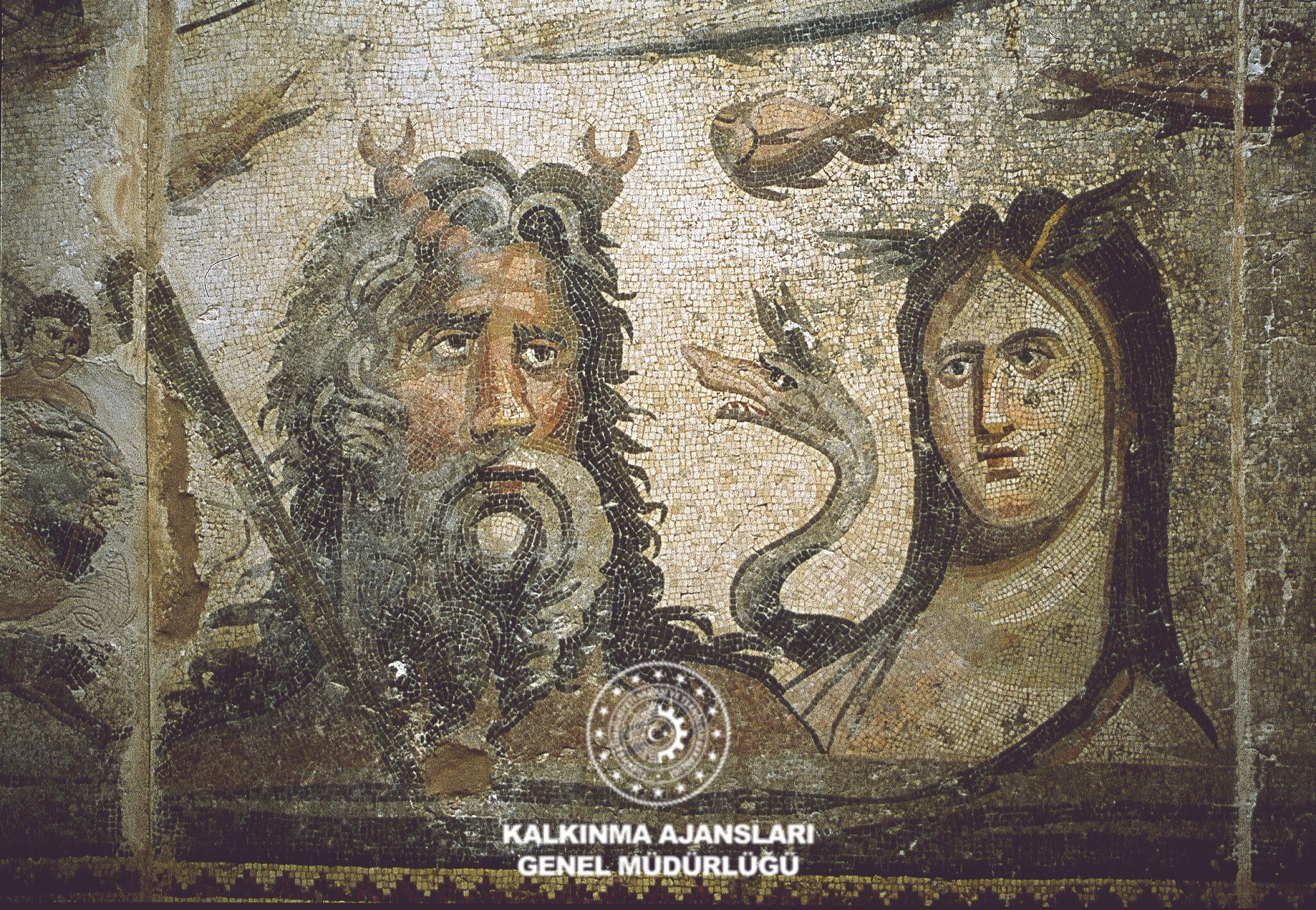 Zeugma Mozaik
