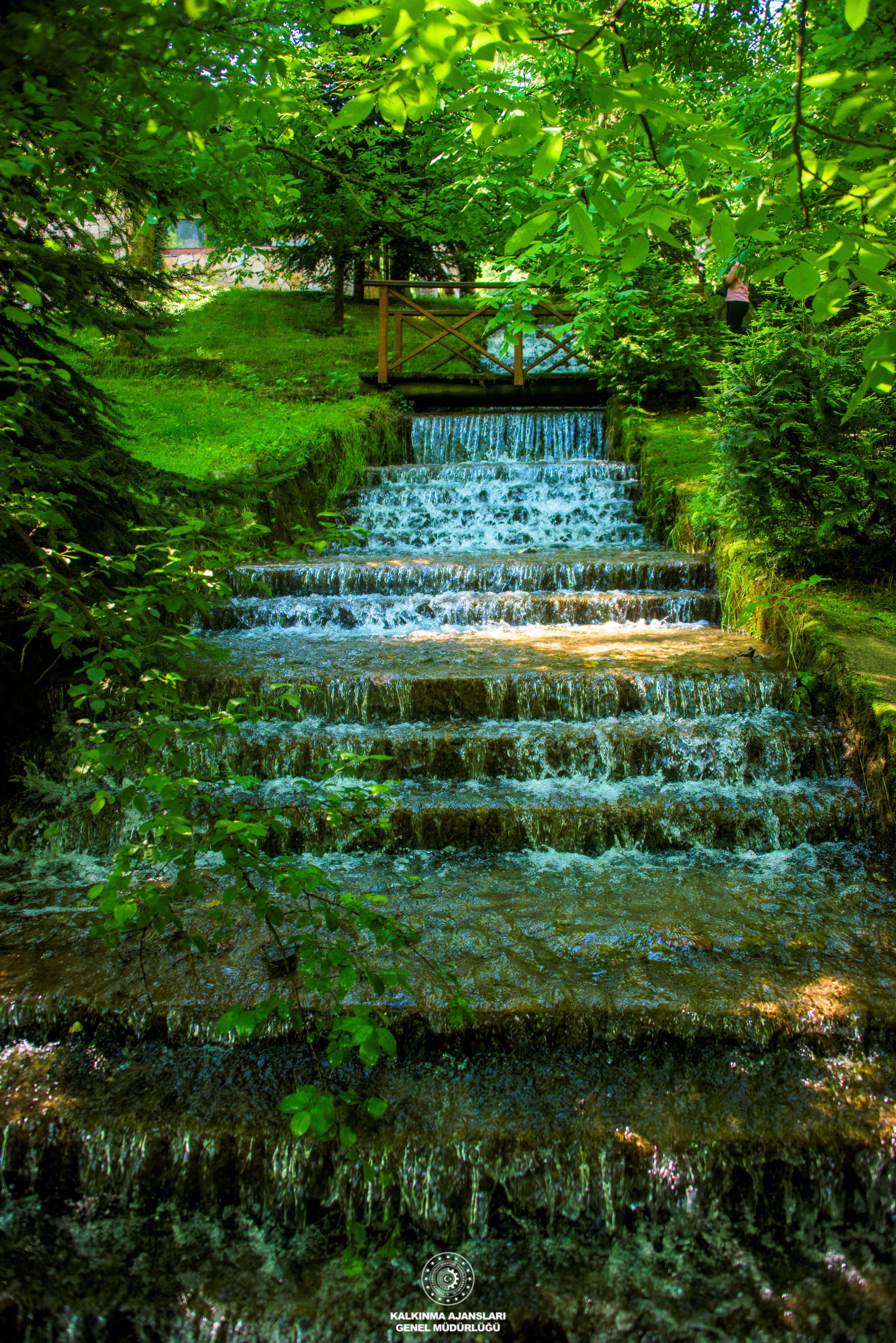 Naturköy - 3 (Sapanca)