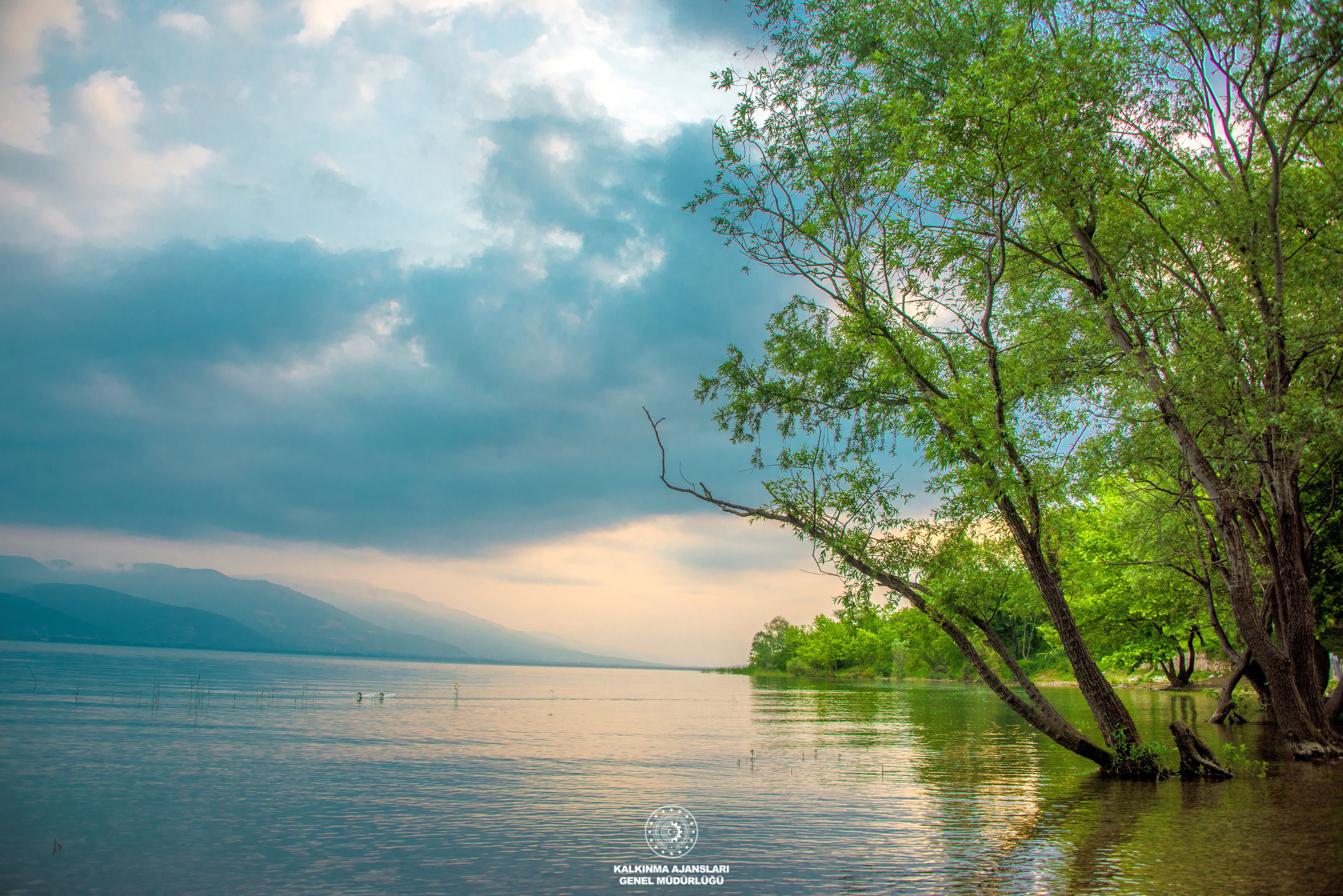 Sapanca Gölü - Aşağıdere Köyü (Serdivan)